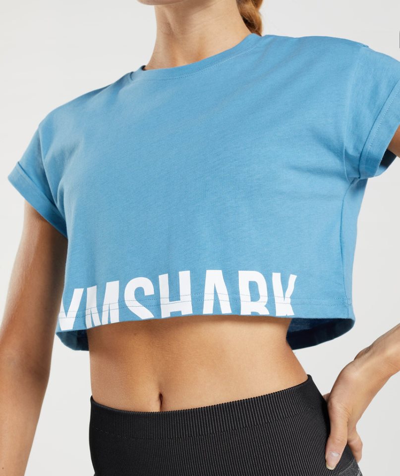 Women's Gymshark Fraction Cropped Tops Blue | CA D831A7